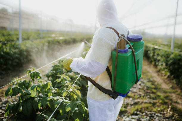  Ajo, AZ Pest Control Pros